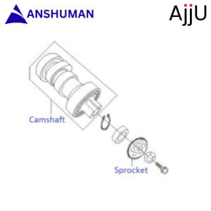 Camshaft| Discover 100 DTS-Si (2009-12)